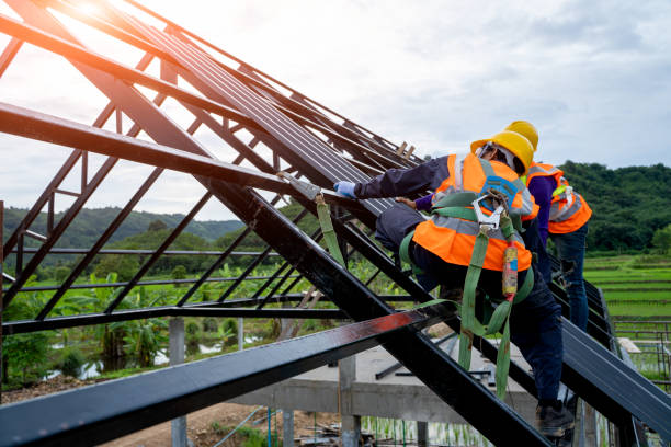 Best Roof Gutter Cleaning  in North Lima, OH