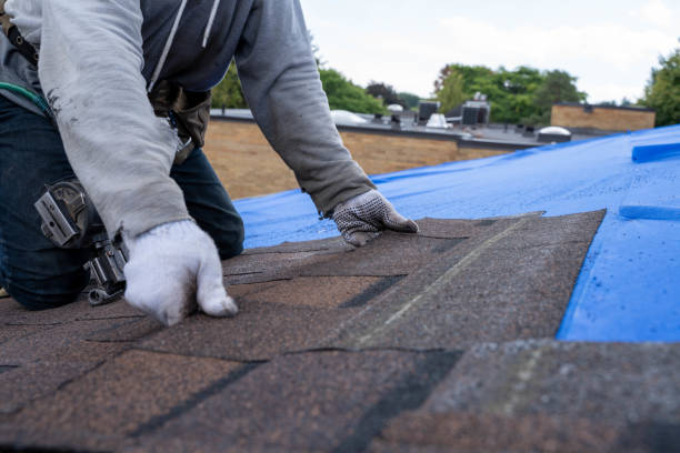 Best Roof Leak Repair  in North Lima, OH
