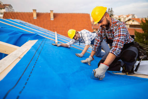Best Gutter Installation and Roofing  in North Lima, OH