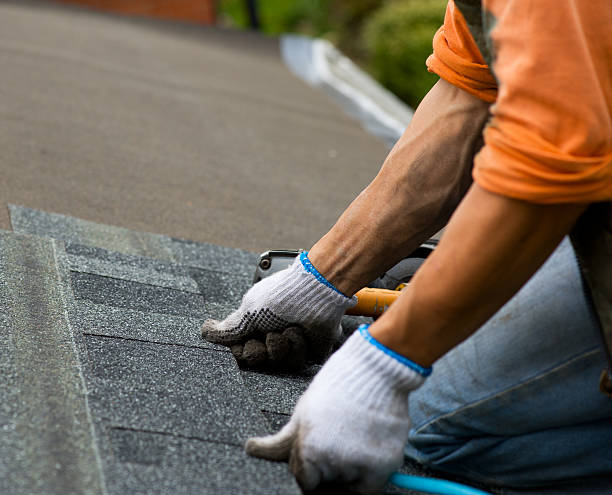 Professional Roofing Contractor in North Lima, OH