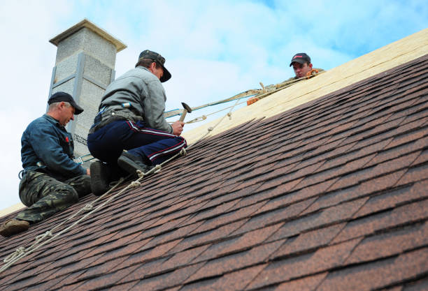 Best Residential Roofing Contractor  in North Lima, OH